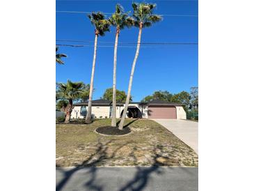 Charming home featuring a two-car garage and lush landscaping with mature palm trees at 186 Dan River Dr, Spring Hill, FL 34606