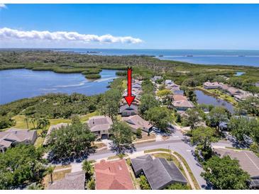 A beautiful aerial view of a home in a waterfront neighborhood, showcasing its proximity to the water and lush surroundings at 1003 Teal Pointe, Tarpon Springs, FL 34689