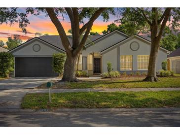 Charming single-story home with well-manicured lawn and inviting curb appeal at 6501 Appaloosa Dr, Tampa, FL 33625