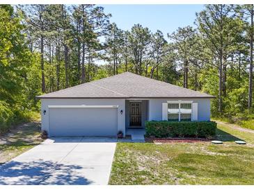 Charming single-story home featuring a two-car garage, manicured lawn, and well-maintained landscaping at 14020 Sooty Tern Ave, Brooksville, FL 34614