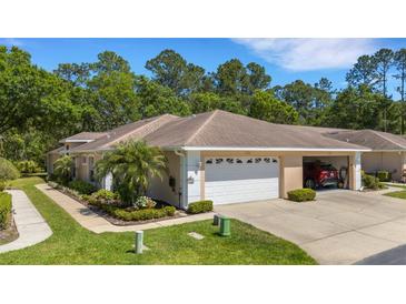Charming single-story home with a two-car garage, manicured landscaping, and a welcoming entrance at 4425 Connery Ct, Palm Harbor, FL 34685
