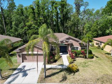 Charming single-story home featuring a well-maintained lawn, lush landscaping, and inviting curb appeal at 1135 Wyndham Lakes Dr, Odessa, FL 33556