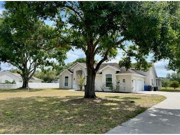 Charming single-story home with mature trees, well-maintained lawn, and attached two-car garage at 17127 Brown Rd, Odessa, FL 33556