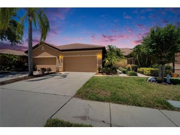 Charming single-story home with a well-manicured lawn, mature palm trees, and a three-car garage at 329 Seneca Falls Dr, Apollo Beach, FL 33572