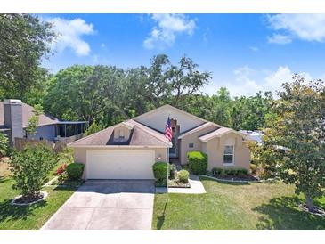 Charming single-story home featuring an attached two-car garage and manicured front lawn at 10509 Deepbrook Dr, Riverview, FL 33569