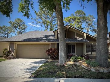 Charming home featuring a manicured lawn, mature trees, and an attached two-car garage at 14678 Village Glen Cir, Tampa, FL 33618