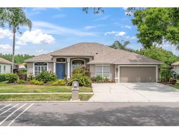 Charming single-story home featuring manicured landscaping, neutral paint, and an attached two-car garage at 18714 Chemille Dr, Lutz, FL 33558