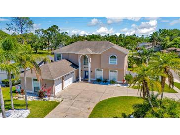 Stunning two-story home with an attached three-car garage and beautiful landscaping at 4612 Netherwood Dr, Tampa, FL 33624