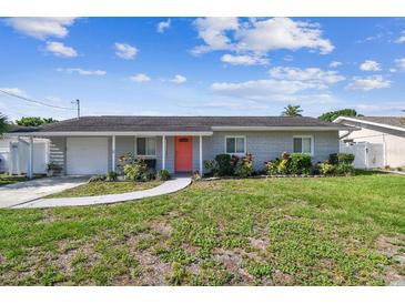 Charming single-story home with a well-maintained lawn and a bright pink front door at 8706 Driftwood Dr, Tampa, FL 33615