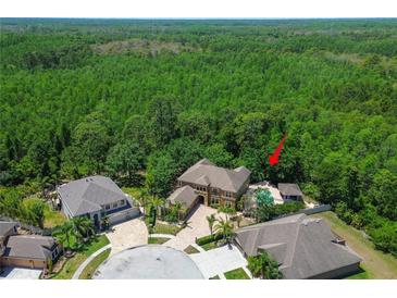 Expansive aerial view shows an estate featuring a pool and ample green space at 14809 Ninebark Ct, Land O Lakes, FL 34638
