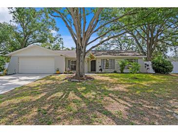 Charming single-story home featuring a well-maintained lawn and mature trees providing ample shade at 6712 Jennifer Dr, Temple Terrace, FL 33617