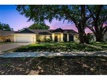 Charming single-story home features an attached garage and a beautifully landscaped front yard with mature trees at 3041 Avalon Terrace Dr, Valrico, FL 33596
