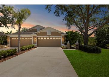 Charming home with a well-maintained lawn, mature landscaping, and a spacious driveway leading to a two-car garage at 19194 Lake Audubon Dr, Tampa, FL 33647