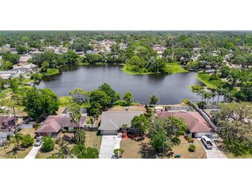 A picturesque aerial view showcases a home near a serene lake surrounded by lush greenery at 3810 Hollister Pl, Brandon, FL 33511