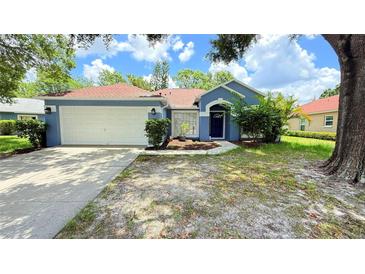 Charming single-story home with a well-maintained lawn and a two-car garage at 28818 Midnight Star Loop, Wesley Chapel, FL 33543