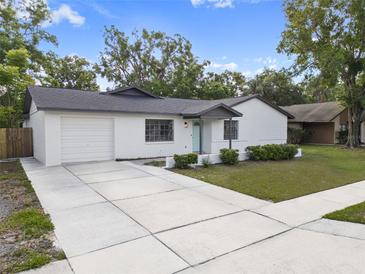 Charming one-story home with a well-manicured lawn, concrete driveway, and attached one car garage at 17815 Cranbrook Dr, Lutz, FL 33549