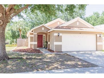 Charming single-story home featuring a well-manicured front yard and an attached two-car garage at 302 Summer Sails Dr, Valrico, FL 33594