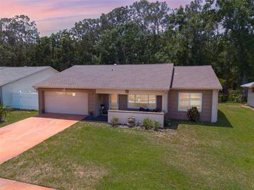 Charming single-story home featuring a well-manicured lawn, neutral toned exterior, and an attached two-car garage at 1144 Lanyard St, Palm Harbor, FL 34685