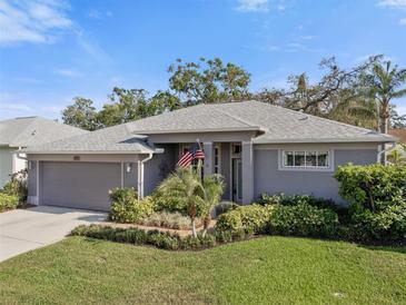Charming single-story home featuring a well-manicured lawn and lush landscaping at 708 Sandy Hills Ave, Tarpon Springs, FL 34689