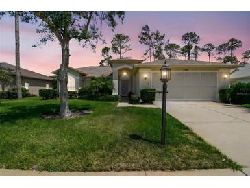 Charming single-story home featuring a well-maintained lawn and a welcoming two-car garage at 11147 Brambleleaf Way, Hudson, FL 34667