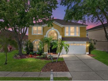 Charming two-story home featuring lush landscaping and a well-maintained front yard at 27231 Liriope Ct, Wesley Chapel, FL 33544