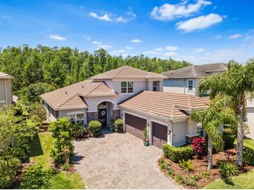 Stately home boasts a three-car garage, tile roof and an expansive brick paver driveway at 31050 Spruceberry Ct, Wesley Chapel, FL 33543