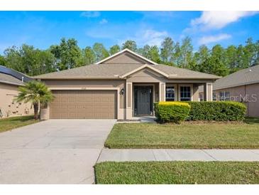 Charming single-story home featuring a well-manicured lawn and attached two-car garage at 19528 Sunset Bay Dr, Land O Lakes, FL 34638