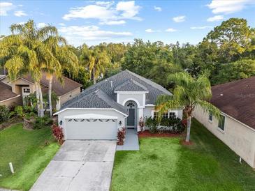 Charming single-story home featuring a manicured lawn, palm trees, and an attached two-car garage at 12531 Blazing Star Dr, Tampa, FL 33626