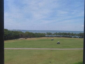 View of golf course from lanai with golf carts, trees and the Gulf at 2618 Cove Cay Dr # 403, Clearwater, FL 33760