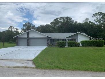 Charming single-story home with a large front lawn and a two-car garage at 35209 Dolphin Lake Dr, Zephyrhills, FL 33541