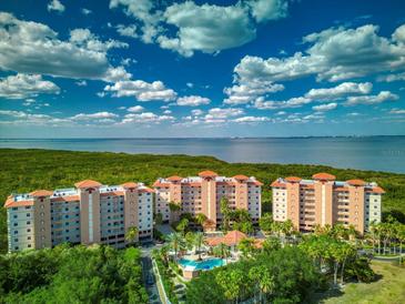 Stunning aerial view of waterfront condos with a pool, lush landscaping, and picturesque water views at 12033 Gandy N Blvd # 131, St Petersburg, FL 33702