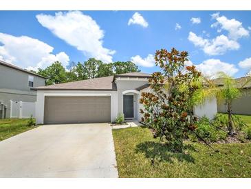 Charming single-story home with a well-manicured lawn and a two-car garage in a sunny neighborhood at 13419 Willow Bluestar Loop, Riverview, FL 33579
