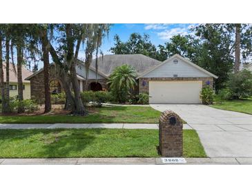 Charming single-story home with mature trees, a manicured lawn, and a two-car garage at 3808 Hollow Wood Dr, Valrico, FL 33594