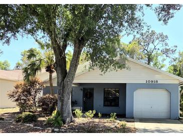 Charming single-story home with a well-maintained yard and mature landscaping at 10918 Freemont Dr, New Port Richey, FL 34654