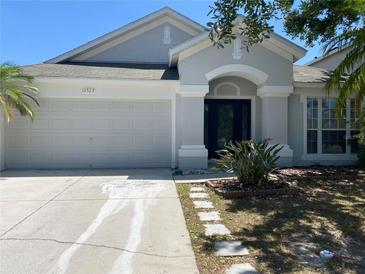 Charming single-story home featuring a manicured lawn, two-car garage, and inviting front entrance at 11529 Misty Isle Ln, Riverview, FL 33579