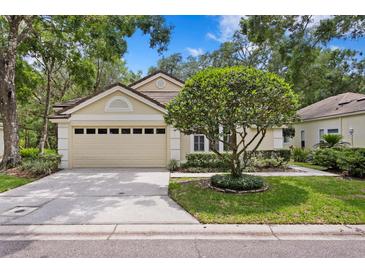 Charming home featuring a manicured front yard and a two-car garage at 15314 Sherwood Forest Dr, Tampa, FL 33647