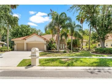 Charming single-story home featuring a well-manicured lawn and a welcoming three-car garage at 17812 Arbor Greene Dr, Tampa, FL 33647