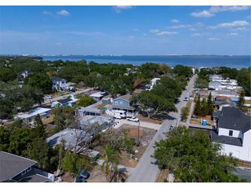 Scenic aerial view of a neighborhood with mature trees and a glimpse of the ocean in the background at 3021 W Helen Ave, Tampa, FL 33611