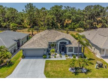 Beautiful single-story home featuring a well-manicured lawn, mature landscaping, and neutral gray tones at 9723 Rolling Cir, San Antonio, FL 33576