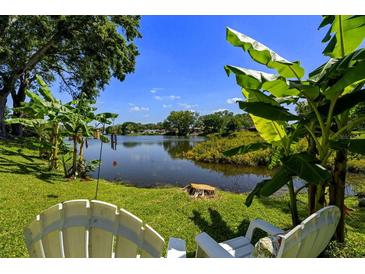 Backyard view of waterfront with chairs, bananas trees and blue skies at 1393 Chesterfield Dr, Dunedin, FL 34698
