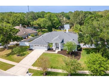 Stunning aerial view of home showcasing lush landscaping, well-manicured lawn, and serene lake views at 17205 Tiffany Shore Dr, Lutz, FL 33549
