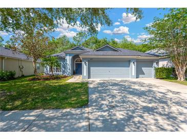 Charming single-story home featuring a three-car garage and manicured front yard at 19246 Meadow Pine Dr, Tampa, FL 33647