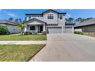 Inviting two-story home with a well-manicured lawn, complemented by a spacious driveway and a two-car garage at 12134 Creek Preserve Dr, Riverview, FL 33579