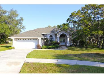 Charming single-story home featuring a well-manicured lawn, a two car garage, and mature trees at 63 Forest Wood Ct, Spring Hill, FL 34609