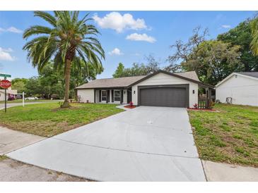 Charming single-story home with a manicured lawn, palm tree, and a long driveway leading to a two-car garage at 12601 Stone House Loop, Hudson, FL 34667