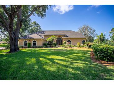 Expansive single-story home with well-manicured lawn, mature trees, and a circular driveway at 2513 Buckhorn Run Dr, Valrico, FL 33596