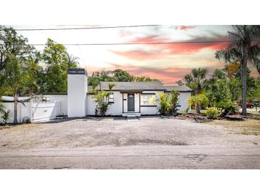 Charming white home featuring a cozy entryway, palm trees, and a striking chimney design at 1702 E Knollwood St, Tampa, FL 33610