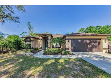 Charming single-story home with a well-manicured lawn and inviting front entrance at 12923 Colony Rd, Hudson, FL 34669