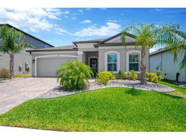 Charming single-story home with a well-manicured lawn and tropical landscaping at 3078 Marine Grass Dr, Wimauma, FL 33598