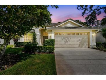 Charming single-story home with a well-maintained lawn, a two car garage, and manicured shrubbery at 17616 Nathans Dr, Tampa, FL 33647